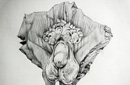 460_kenta_matsui_art_the_birth_of_catharsis_untitled_2013_pencil_on_paper_30x42